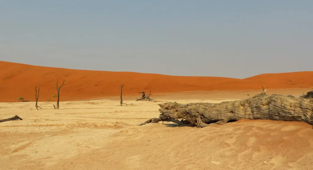 Namib-Desert