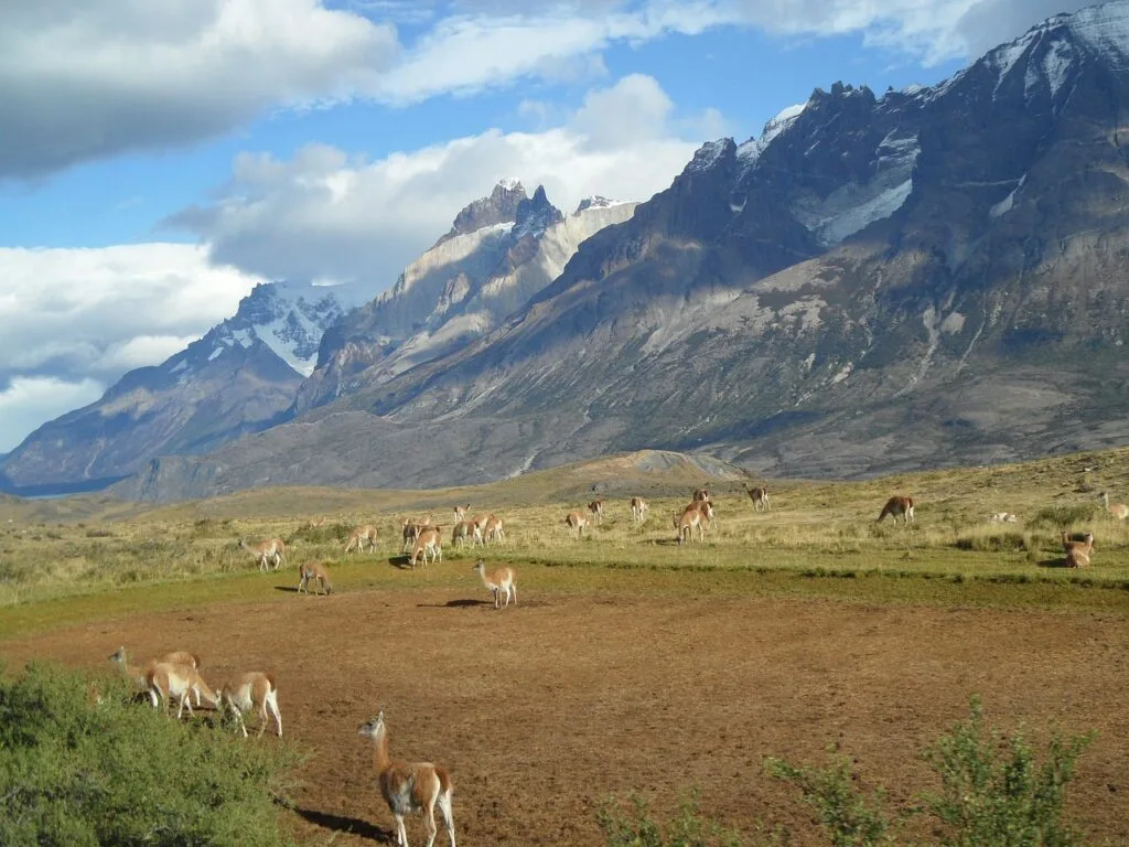 Patagonia-Argentina-and-Chile